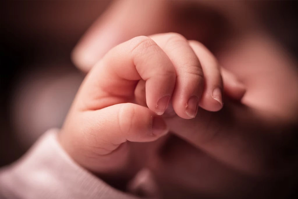 Perlindungan Bundle of Joy